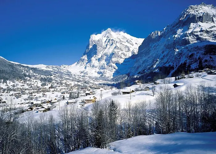 Haus Sapporo Γκρίντελβαλντ